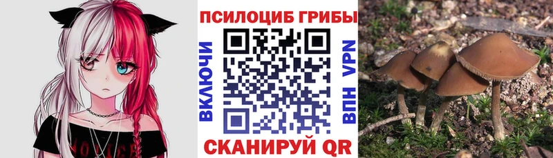 Галлюциногенные грибы ЛСД  Чистополь 